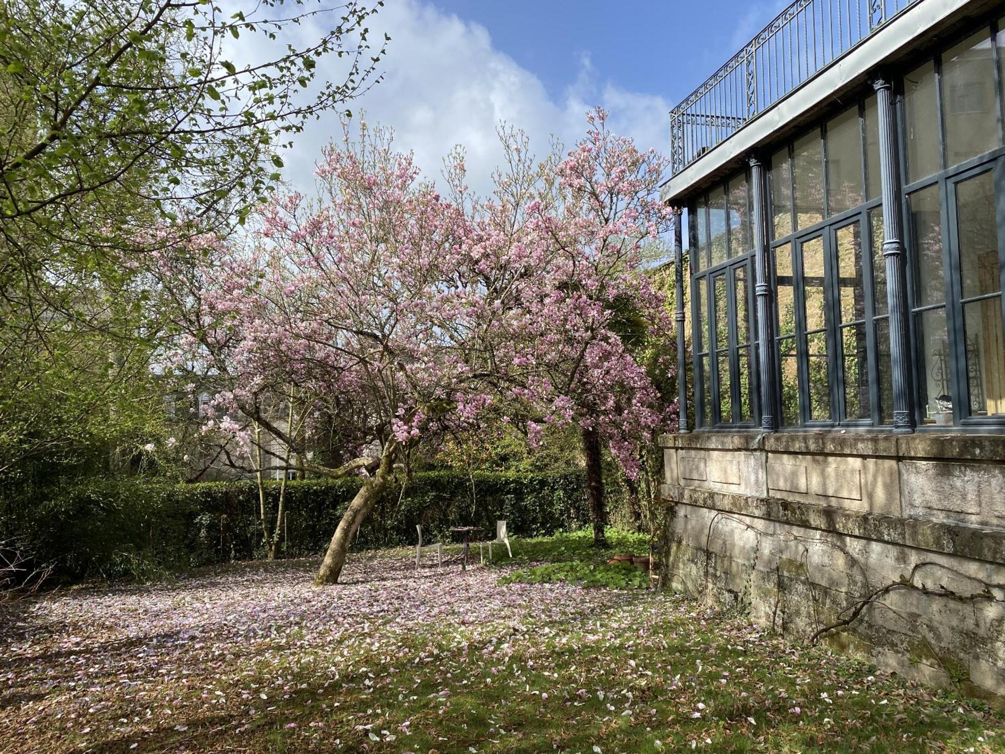 La Villa Beaupeyrat - Apparthotels De Charme Dans Batisse De Caractere A 400M Du Coeur De Ville De Limoges Zimmer foto